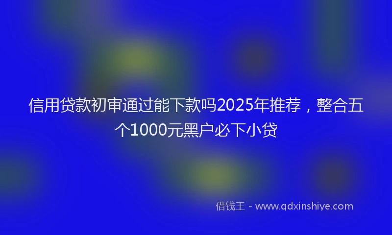 信用贷款初审通过能下款吗2025年推荐，整合五个1000元黑户必下小贷