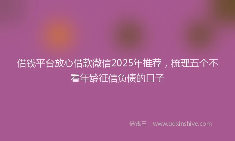 借钱平台放心借款微信2025年推荐，梳理五个不看年龄征信负债的口子