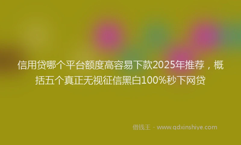 信用贷哪个平台额度高容易下款2025年推荐，概括五个真正无视征信黑白100%秒下网贷