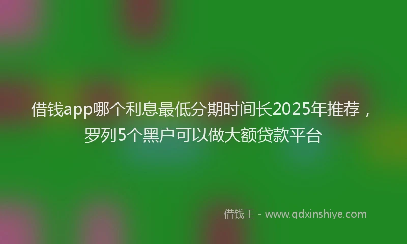 借钱app哪个利息最低分期时间长2025年推荐，罗列5个黑户可以做大额贷款平台