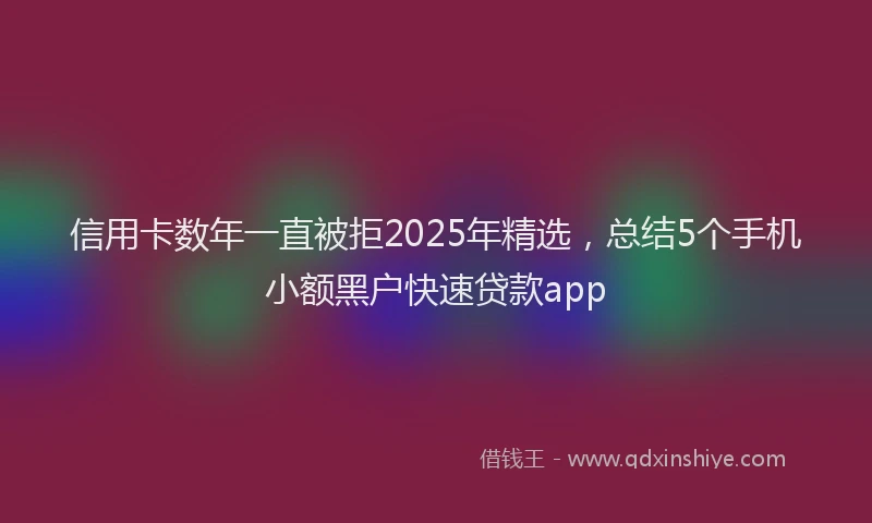 信用卡数年一直被拒2025年精选，总结5个手机小额黑户快速贷款app