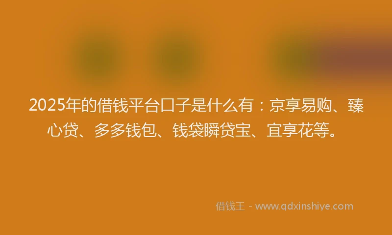 2025年的借钱平台口子是什么有：京享易购、臻心贷、多多钱包、钱袋瞬贷宝、宜享花等。