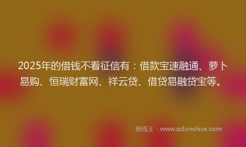 2025年的借钱不看征信有：借款宝速融通、萝卜易购、恒瑞财富网、祥云贷、借贷易融贷宝等。