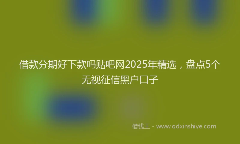 借款分期好下款吗贴吧网2025年精选，盘点5个无视征信黑户口子