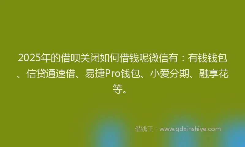2025年的借呗关闭如何借钱呢微信有：有钱钱包、信贷通速借、易捷Pro钱包、小爱分期、融享花等。