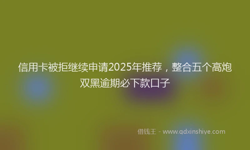 信用卡被拒继续申请2025年推荐，整合五个高炮双黑逾期必下款口子