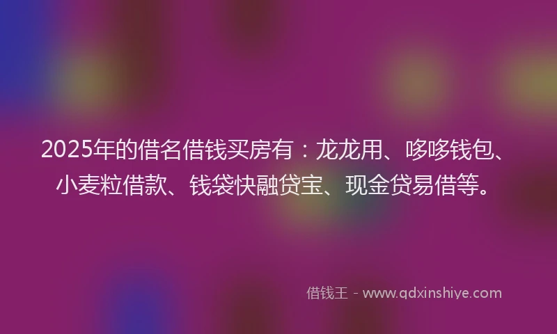2025年的借名借钱买房有：龙龙用、哆哆钱包、小麦粒借款、钱袋快融贷宝、现金贷易借等。