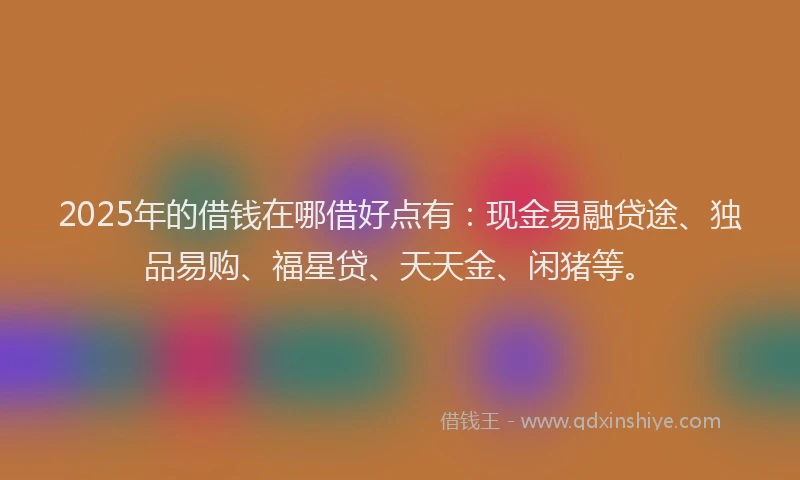 2025年的借钱在哪借好点有：现金易融贷途、独品易购、福星贷、天天金、闲猪等。