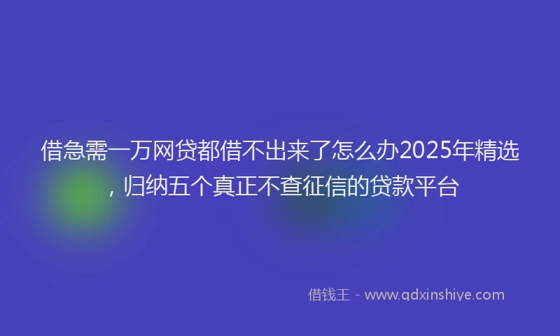 借急需一万网贷都借不出来了怎么办2025年精选，归纳五个真正不查征信的贷款平台