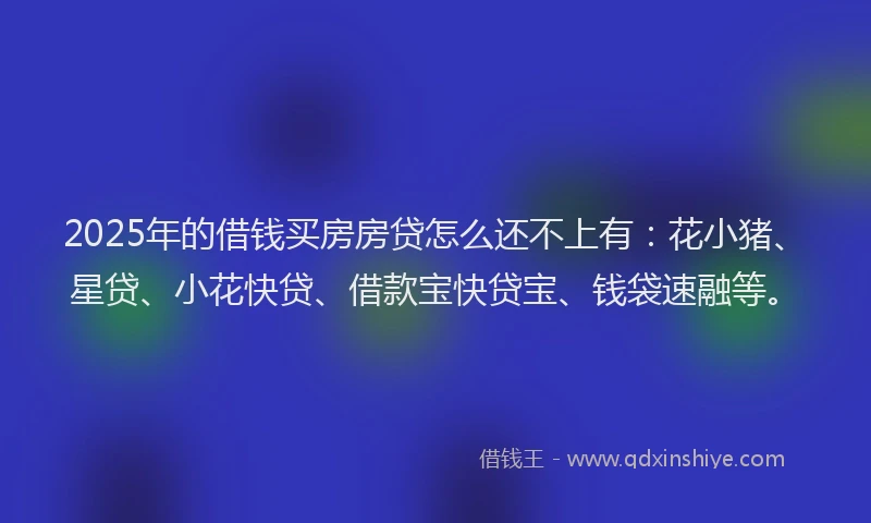 2025年的借钱买房房贷怎么还不上有：花小猪、星贷、小花快贷、借款宝快贷宝、钱袋速融等。