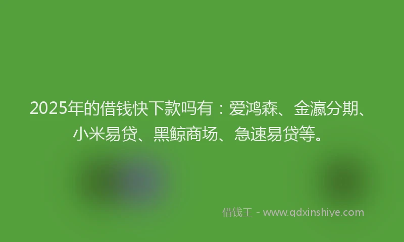2025年的借钱快下款吗有:爱鸿森、金瀛分期、小米易贷、黑鲸商场、急速易贷等。