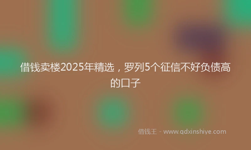 借钱卖楼2025年精选，罗列5个征信不好负债高的口子