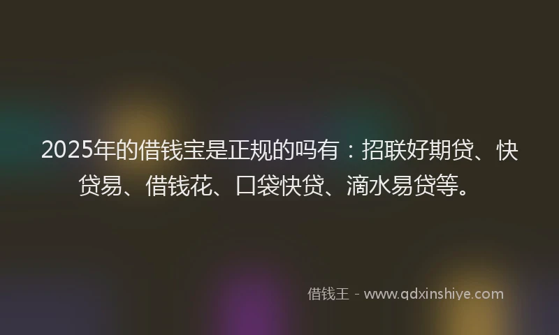 2025年的借钱宝是正规的吗有：招联好期贷、快贷易、借钱花、口袋快贷、滴水易贷等。