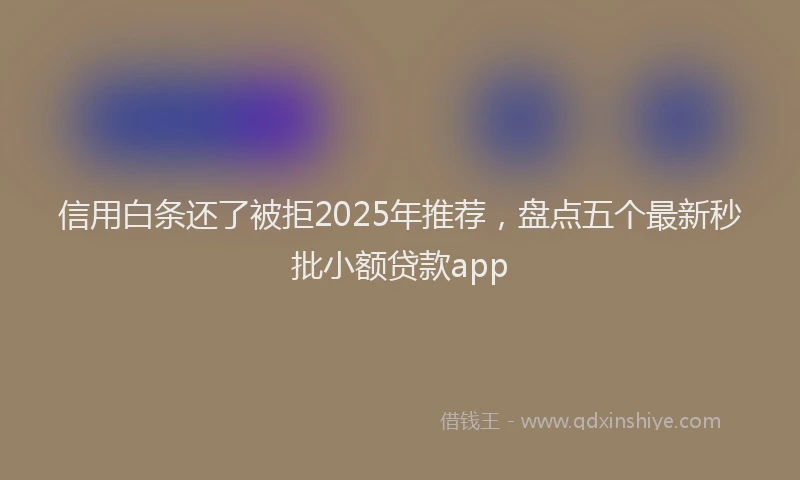 信用白条还了被拒2025年推荐，盘点五个最新秒批小额贷款app