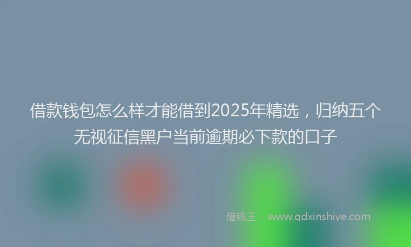 借款钱包怎么样才能借到2025年精选，归纳五个无视征信黑户当前逾期必下款的口子