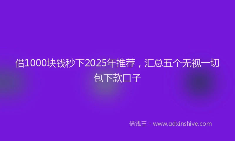 借1000块钱秒下2025年推荐，汇总五个无视一切包下款口子