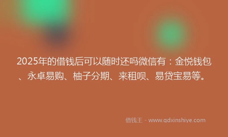 2025年的借钱后可以随时还吗微信有：金悦钱包、永卓易购、柚子分期、来租呗、易贷宝易等。