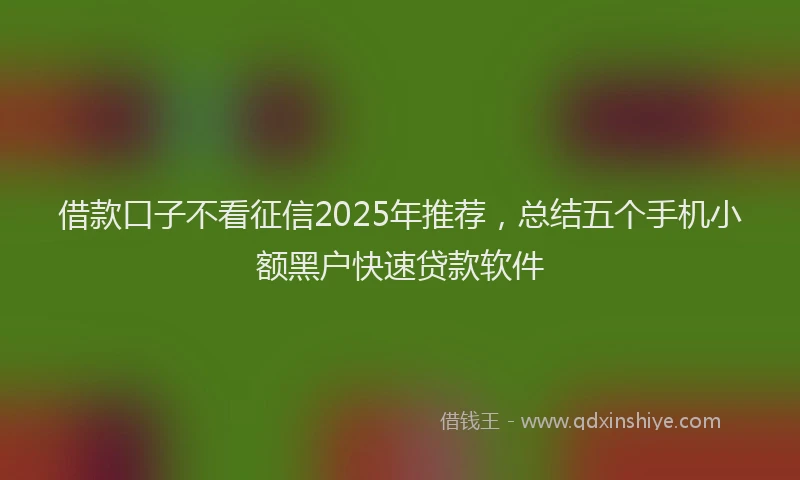 借款口子不看征信2025年推荐，总结五个手机小额黑户快速贷款软件