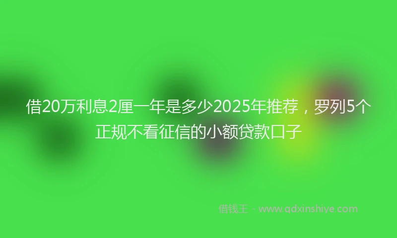 借20万利息2厘一年是多少2025年推荐，罗列5个正规不看征信的小额贷款口子