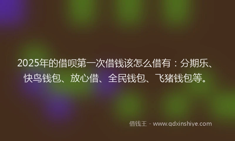 2025年的借呗第一次借钱该怎么借有：分期乐、快鸟钱包、放心借、全民钱包、飞猪钱包等。