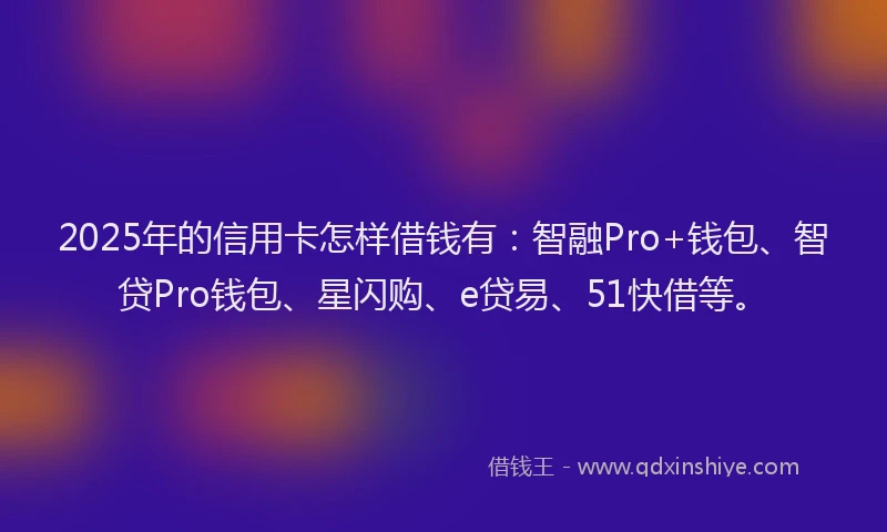 2025年的信用卡怎样借钱有：智融Pro+钱包、智贷Pro钱包、星闪购、e贷易、51快借等。