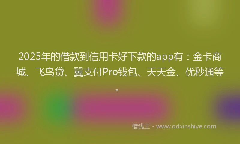 2025年的借款到信用卡好下款的app有：金卡商城、飞鸟贷、翼支付Pro钱包、天天金、优秒通等。