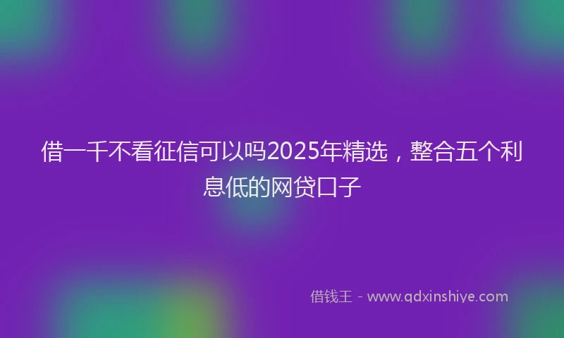 借一千不看征信可以吗2025年精选，整合五个利息低的网贷口子
