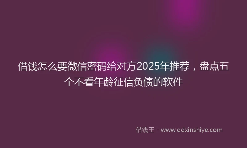 借钱怎么要微信密码给对方2025年推荐，盘点五个不看年龄征信负债的软件