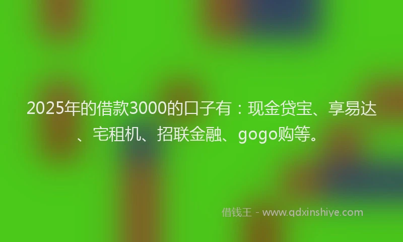 2025年的借款3000的口子有：现金贷宝、享易达、宅租机、招联金融、gogo购等。