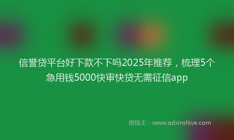 信誉贷平台好下款不下吗2025年推荐，梳理5个急用钱5000快审快贷无需征信app