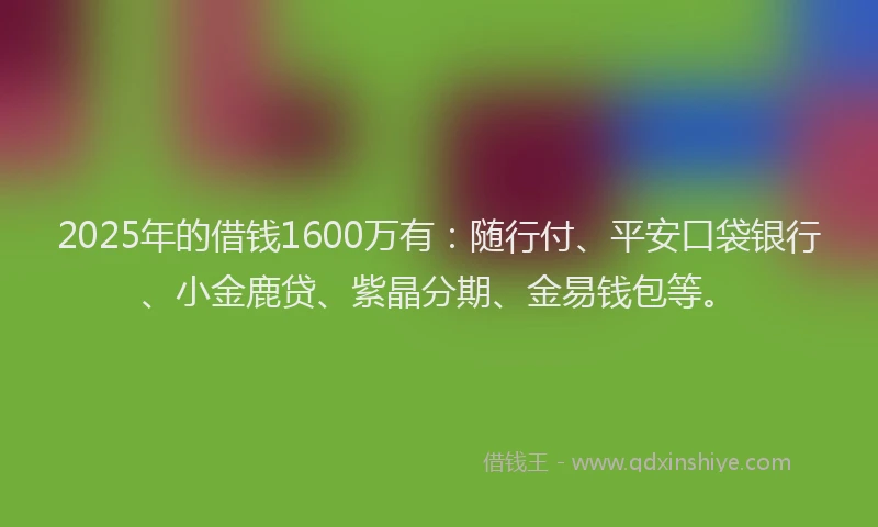 2025年的借钱1600万有：随行付、平安口袋银行、小金鹿贷、紫晶分期、金易钱包等。