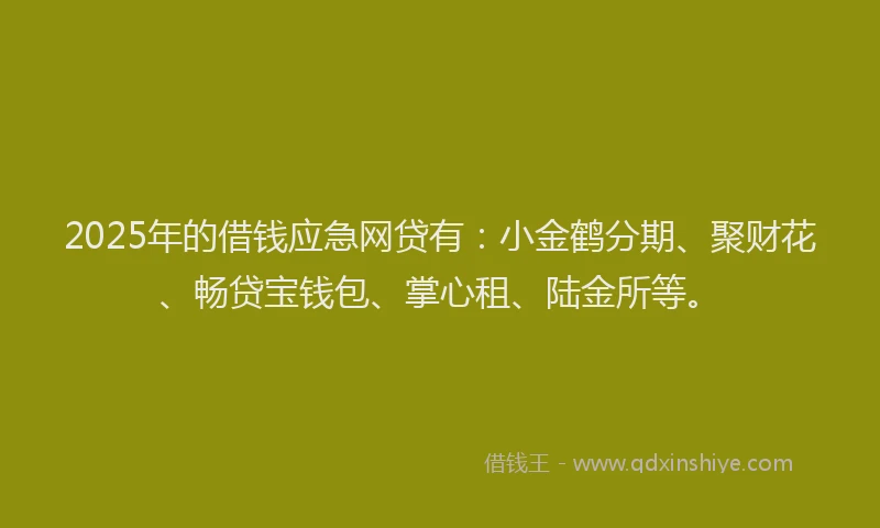 2025年的借钱应急网贷有：小金鹤分期、聚财花、畅贷宝钱包、掌心租、陆金所等。