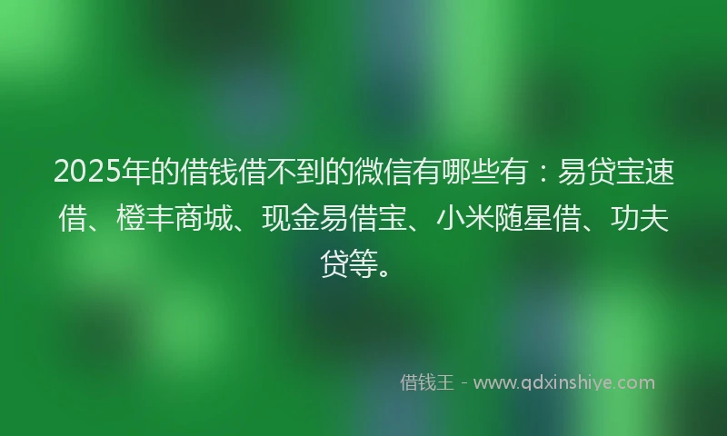 2025年的借钱借不到的微信有哪些有：易贷宝速借、橙丰商城、现金易借宝、小米随星借、功夫贷等。
