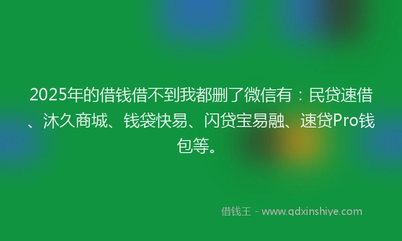2025年的借钱借不到我都删了微信有：民贷速借、沐久商城、钱袋快易、闪贷宝易融、速贷Pro钱包等。