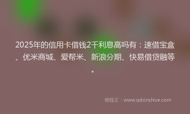 2025年的信用卡借钱2千利息高吗有：速借宝盒、优米商城、爱帮米、新浪分期、快易借贷融等。
