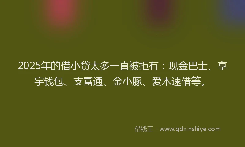 2025年的借小贷太多一直被拒有：现金巴士、享宇钱包、支富通、金小豚、爱木速借等。
