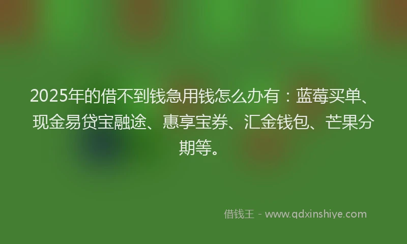 2025年的借不到钱急用钱怎么办有：蓝莓买单、现金易贷宝融途、惠享宝券、汇金钱包、芒果分期等。