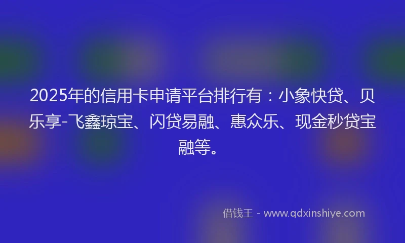 2025年的信用卡申请平台排行有：小象快贷、贝乐享-飞鑫琼宝、闪贷易融、惠众乐、现金秒贷宝融等。
