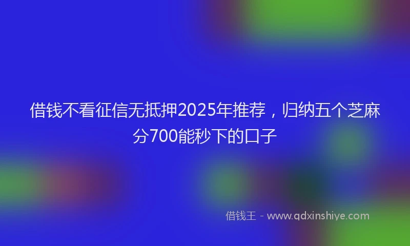 借钱不看征信无抵押2025年推荐，归纳五个芝麻分700能秒下的口子