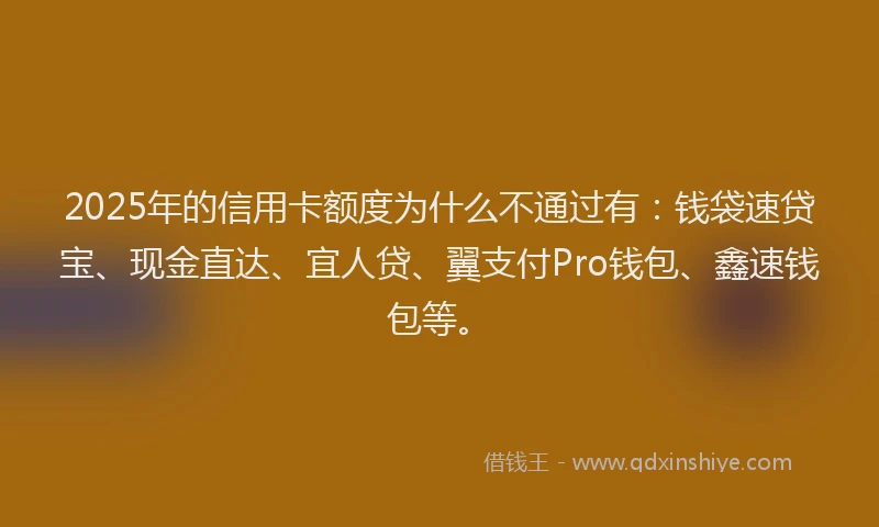 2025年的信用卡额度为什么不通过有：钱袋速贷宝、现金直达、宜人贷、翼支付Pro钱包、鑫速钱包等。