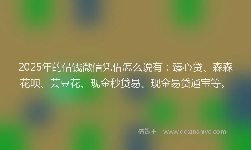 2025年的借钱微信凭借怎么说有：臻心贷、森森花呗、芸豆花、现金秒贷易、现金易贷通宝等。