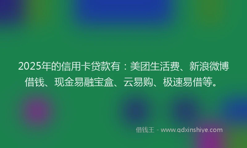 2025年的信用卡贷款有：美团生活费、新浪微博借钱、现金易融宝盒、云易购、极速易借等。