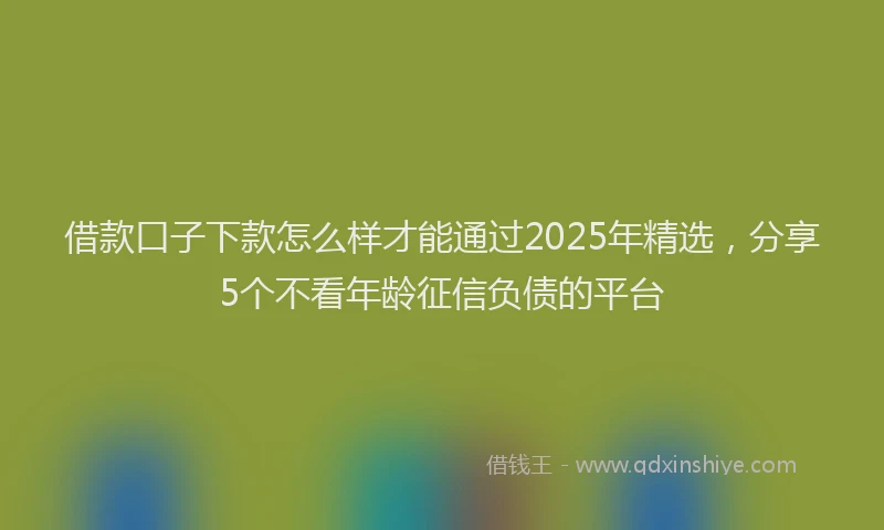 借款口子下款怎么样才能通过2025年精选，分享5个不看年龄征信负债的平台