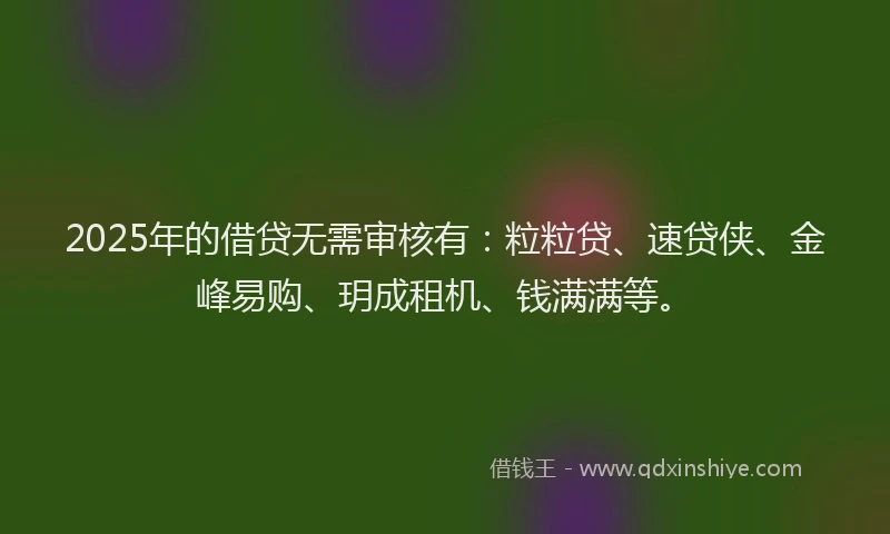 2025年的借贷无需审核有：粒粒贷、速贷侠、金峰易购、玥成租机、钱满满等。
