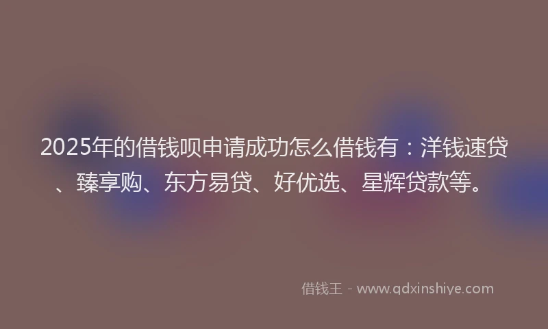 2025年的借钱呗申请成功怎么借钱有：洋钱速贷、臻享购、东方易贷、好优选、星辉贷款等。