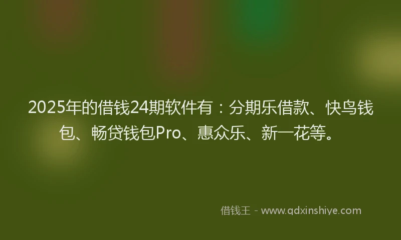 2025年的借钱24期软件有：分期乐借款、快鸟钱包、畅贷钱包Pro、惠众乐、新一花等。