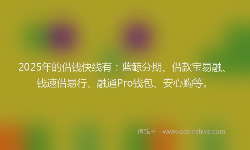 2025年的借钱快线有：蓝鲸分期、借款宝易融、钱速借易行、融通Pro钱包、安心购等。