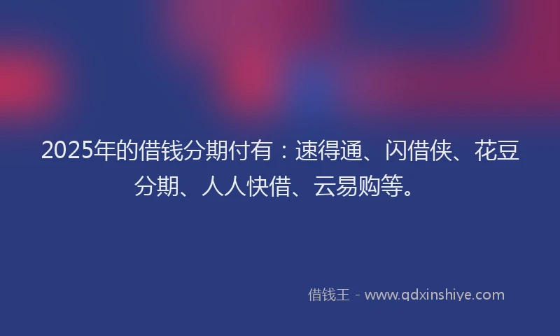 2025年的借钱分期付有:速得通、闪借侠、花豆分期、人人快借、云易购等。