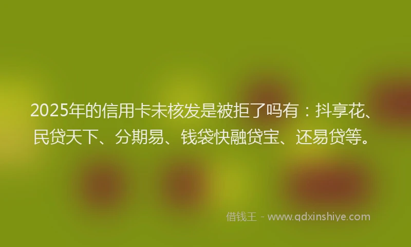 2025年的信用卡未核发是被拒了吗有：抖享花、民贷天下、分期易、钱袋快融贷宝、还易贷等。
