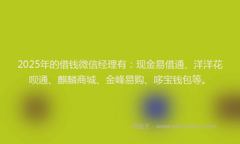 2025年的借钱微信经理有：现金易借通、洋洋花呗通、麒麟商城、金峰易购、哆宝钱包等。